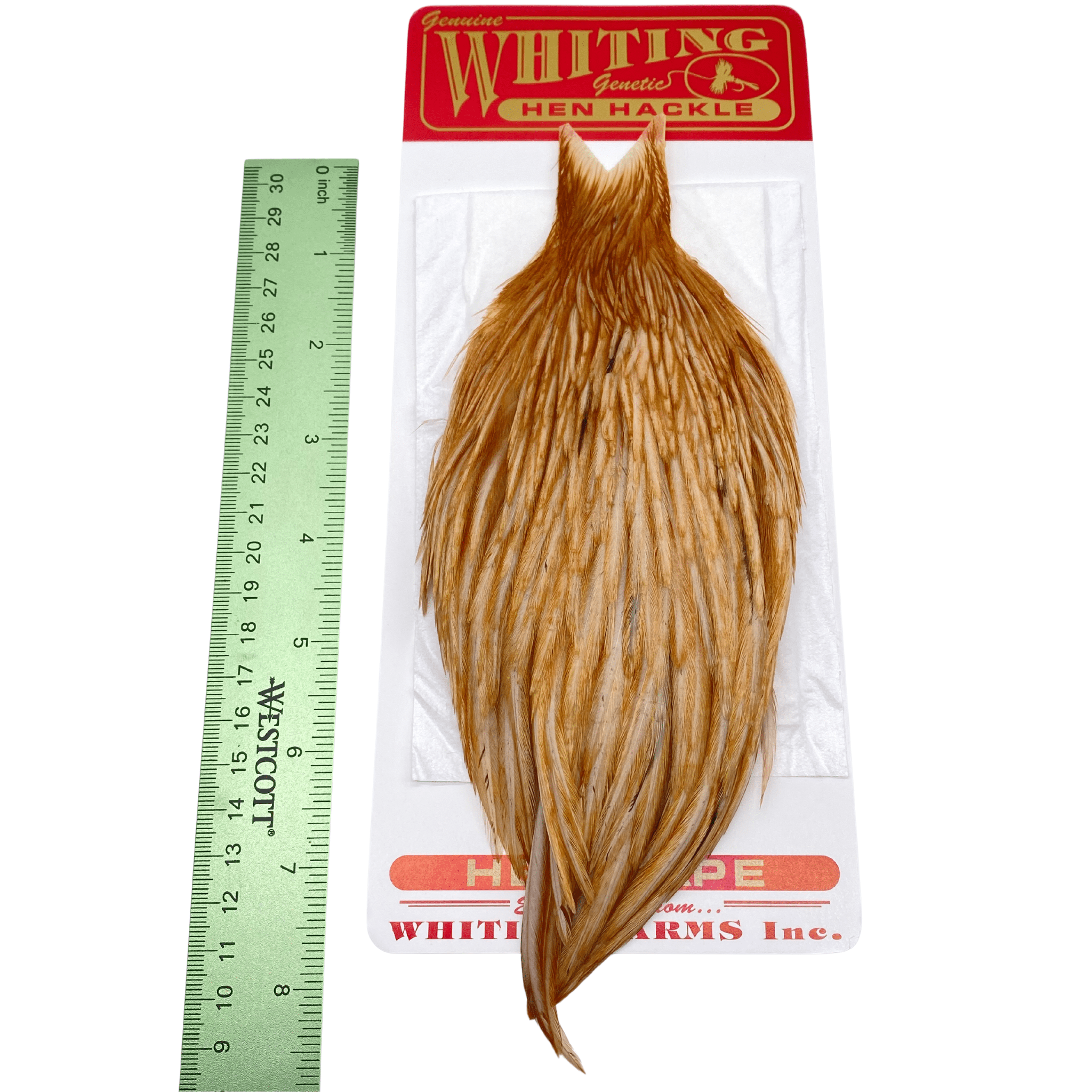 Whiting Hen Cape - Nextwavemarket