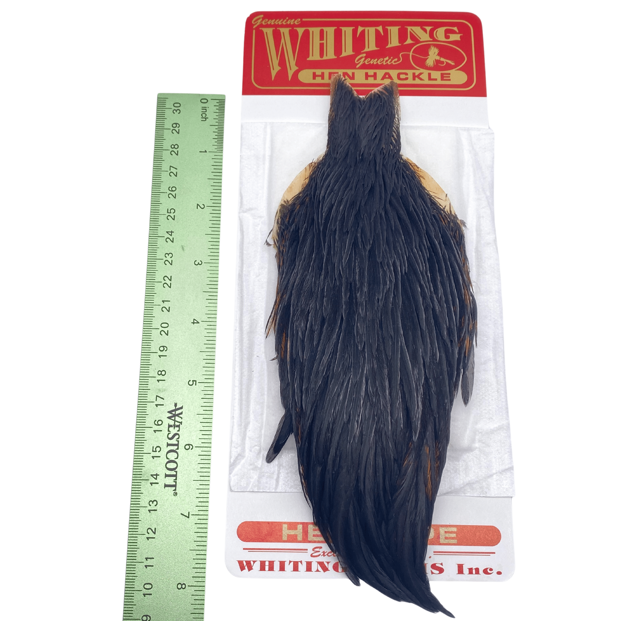 Whiting Hen Cape - Nextwavemarket