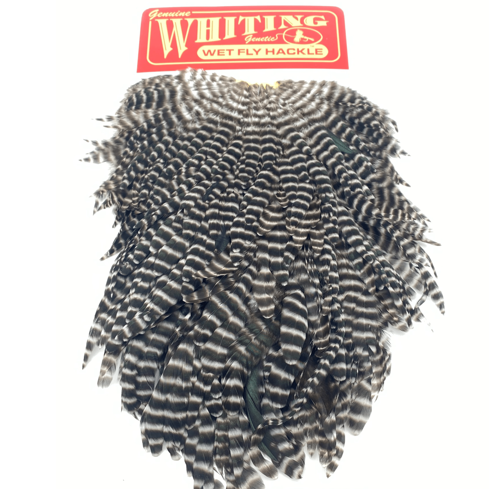 Whiting Hen Saddle - Nextwavemarket