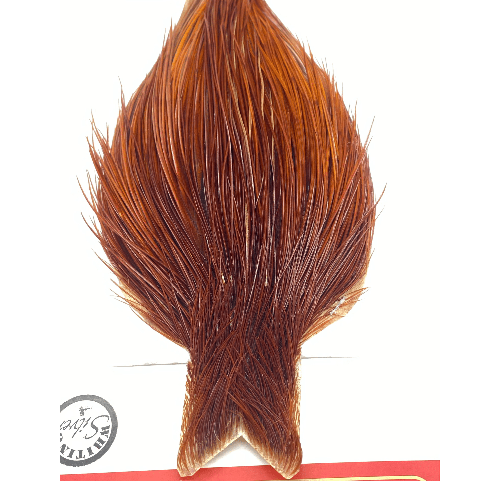 Whiting Rooster Cape - Silver Grade - Nextwavemarket