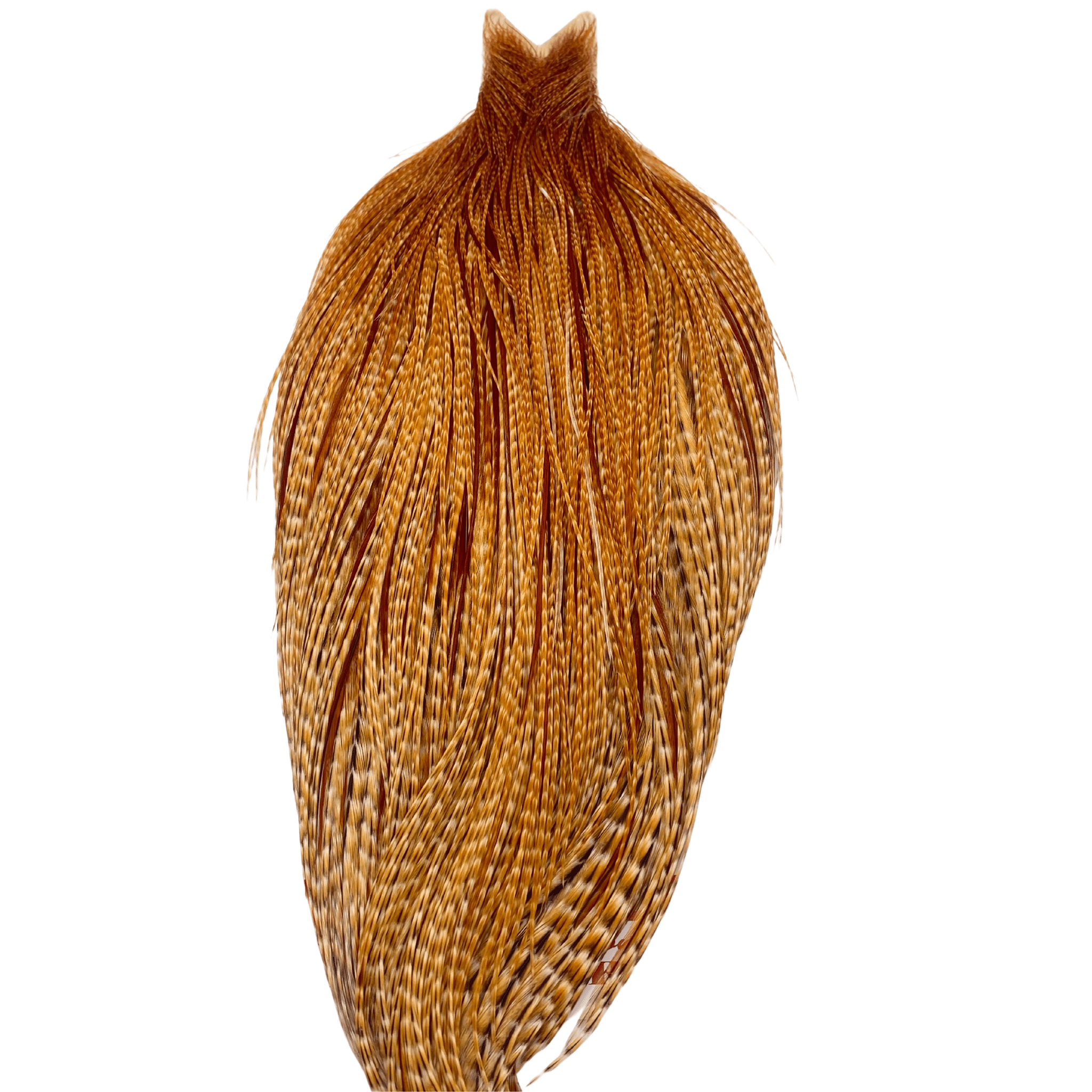 Whiting Rooster Cape - Silver Grade - Nextwavemarket