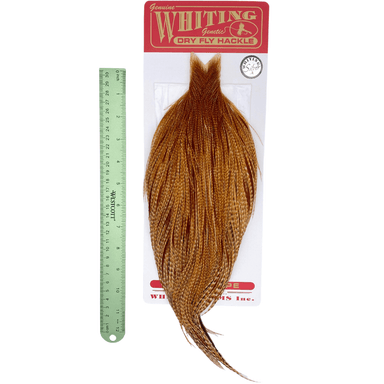 Whiting Rooster Cape - Silver Grade - Nextwavemarket