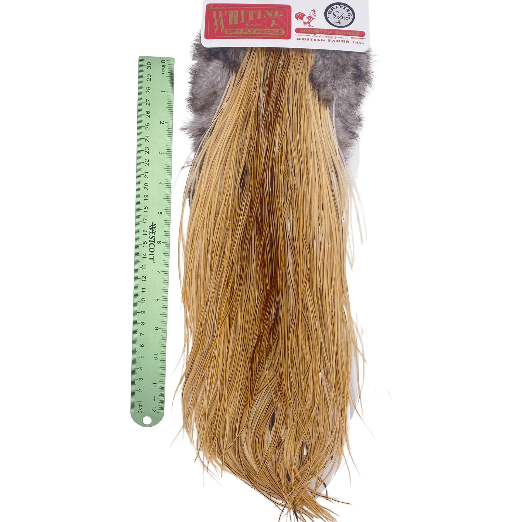 Whiting Rooster Saddle - Silver Grade - Nextwavemarket