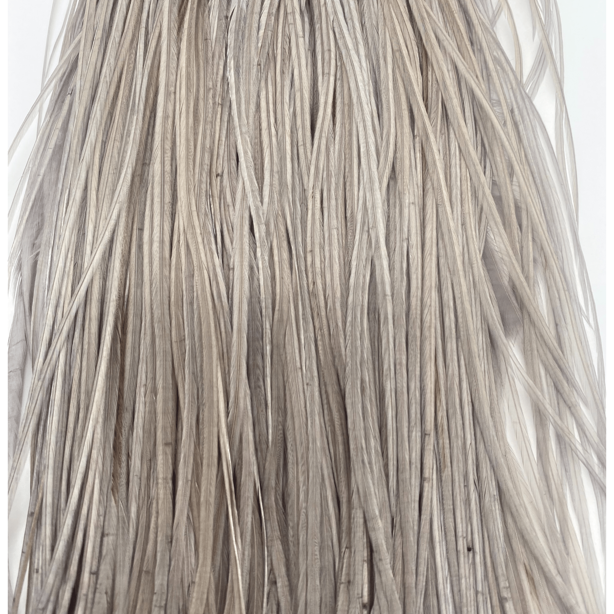 Whiting Rooster Saddle - Silver Grade - Nextwavemarket