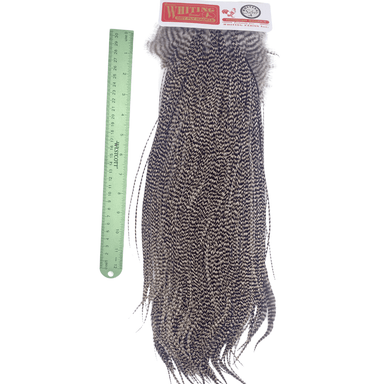 Whiting Rooster Saddle - Silver Grade - Nextwavemarket