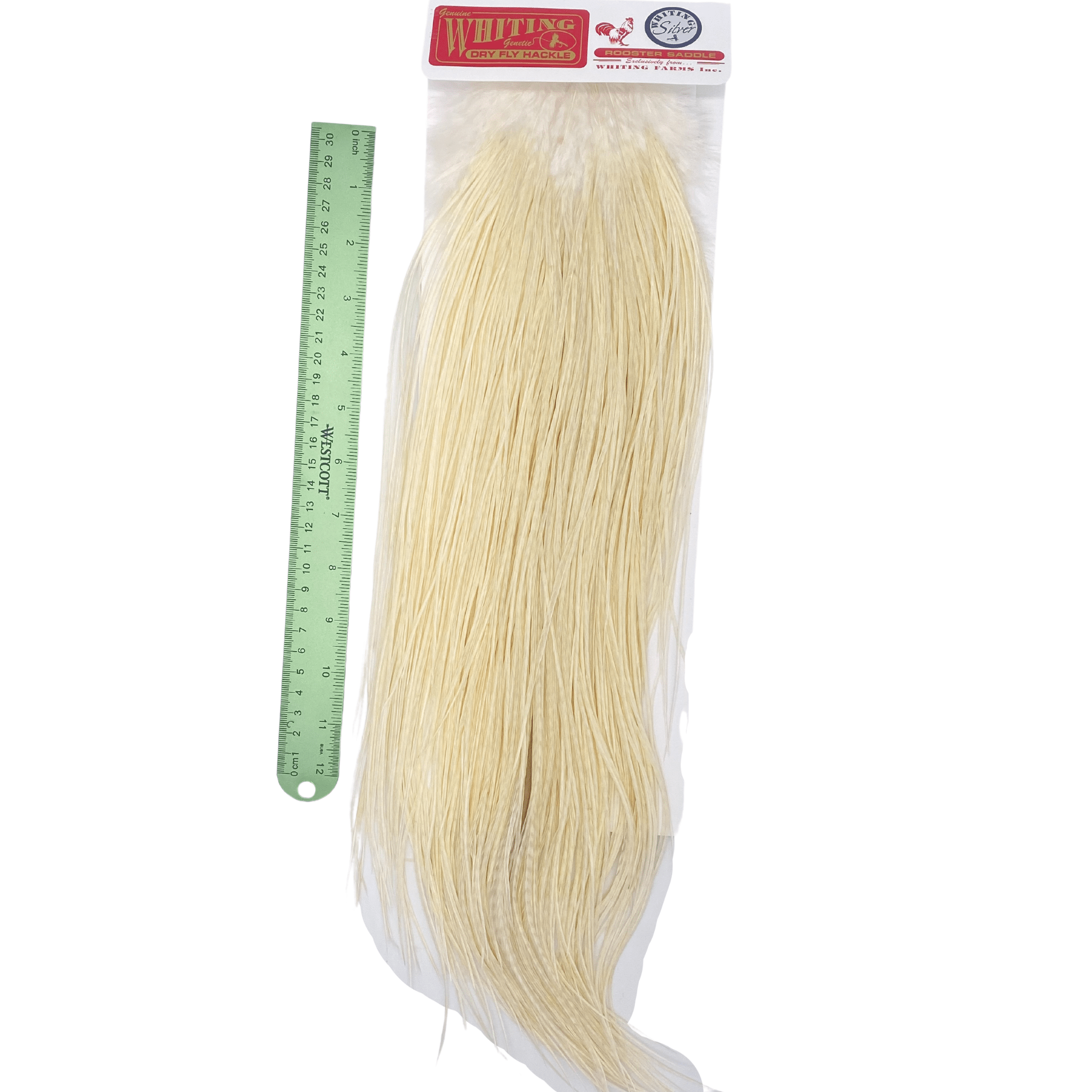 Whiting Rooster Saddle - Silver Grade - Nextwavemarket