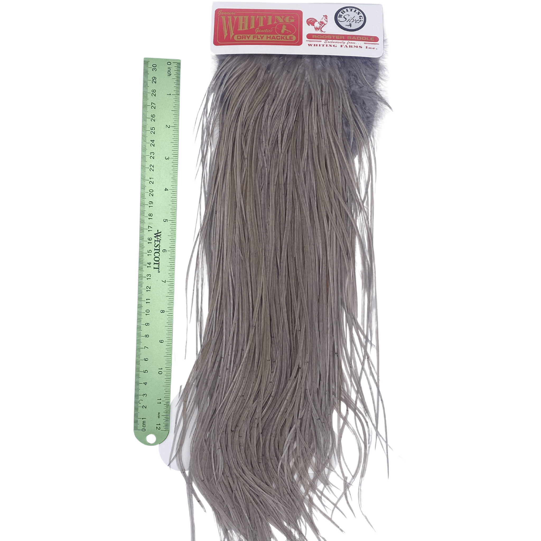 Whiting Rooster Saddle - Silver Grade - Nextwavemarket