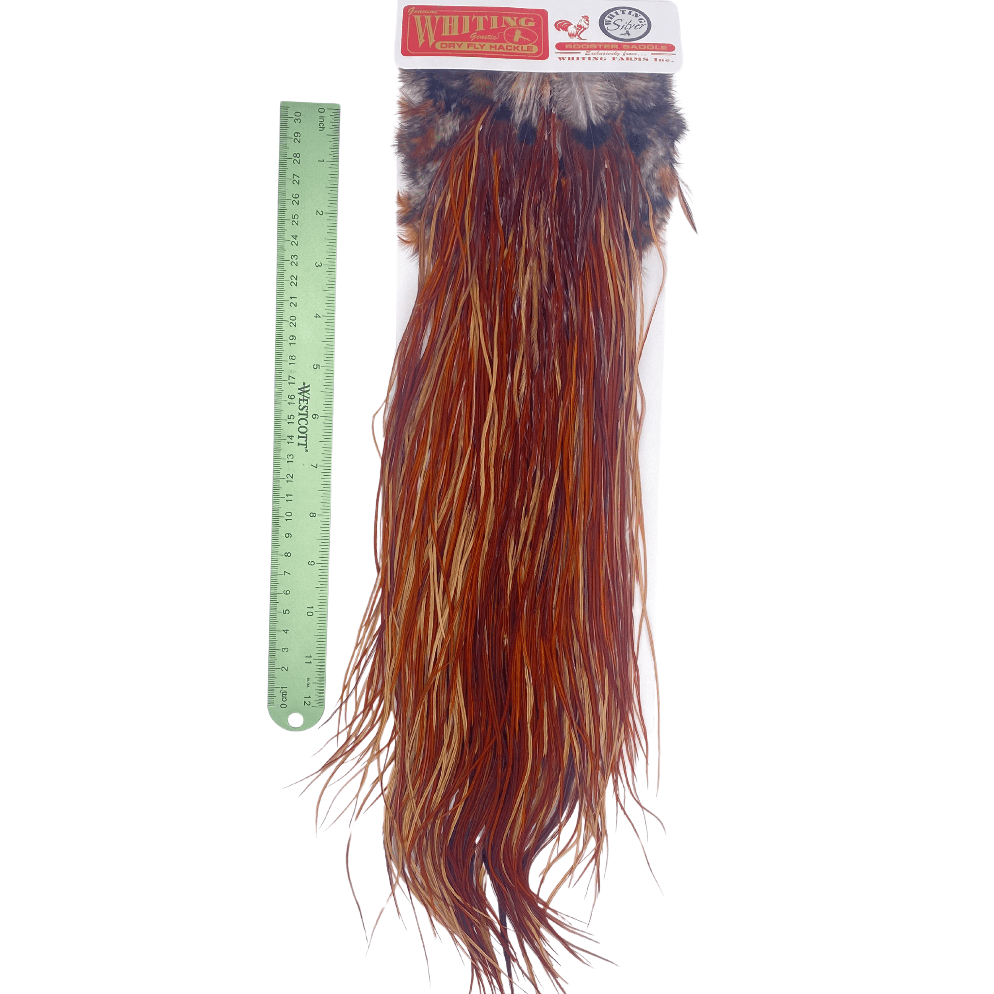 Whiting Rooster Saddle - Silver Grade - Nextwavemarket