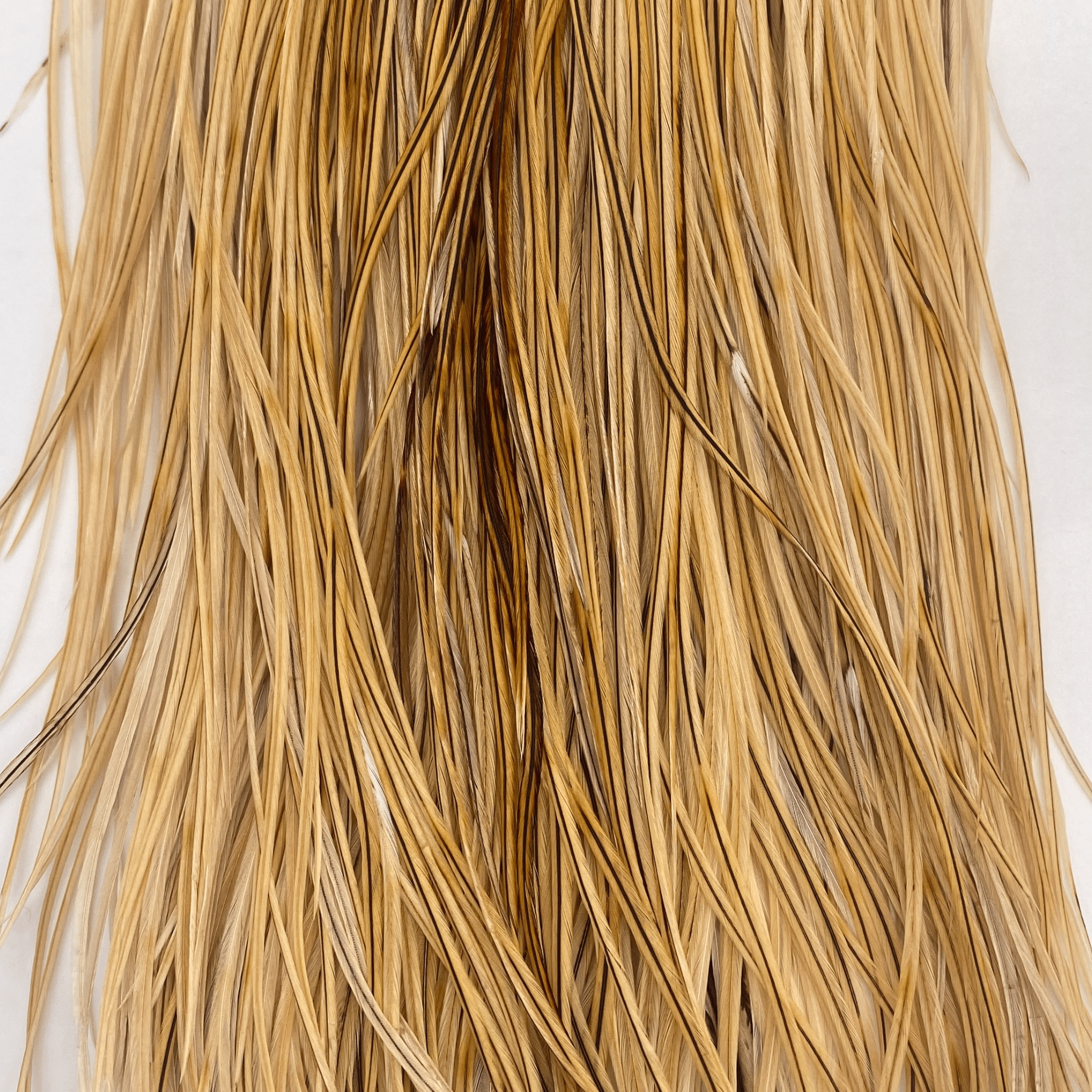 Whiting Rooster Saddle - Silver Grade - Nextwavemarket