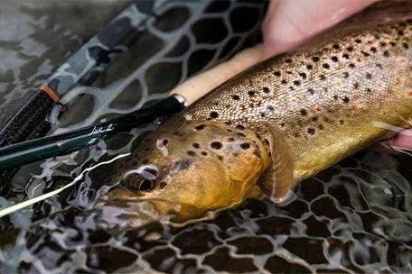 Winston Air 2 - Nextwavemarket