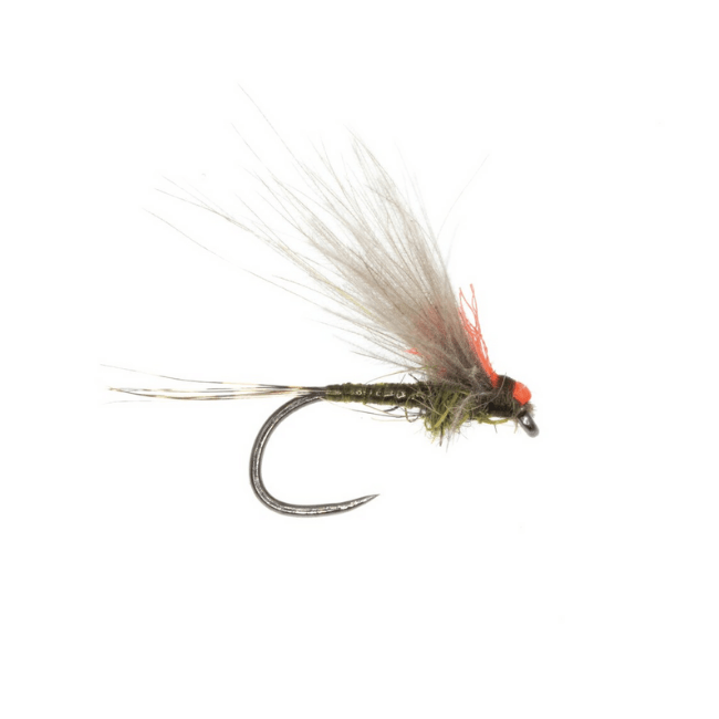Antonio's Adult BWO - Nextwavemarket