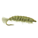 Barr's Cranefly Larva - Olive - Nextwavemarket
