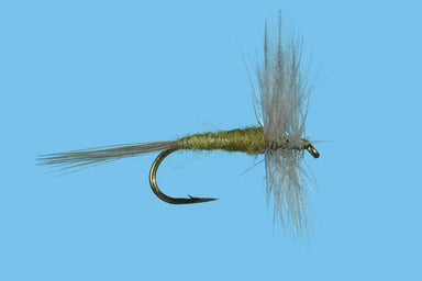 Blue Wing Olive - Nextwavemarket