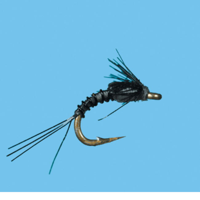 Bts Nymph - Nextwavemarket