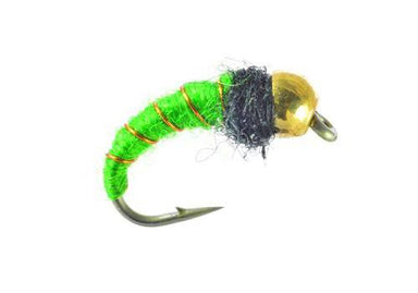 Caddis Larva - Bead Head - Nextwavemarket