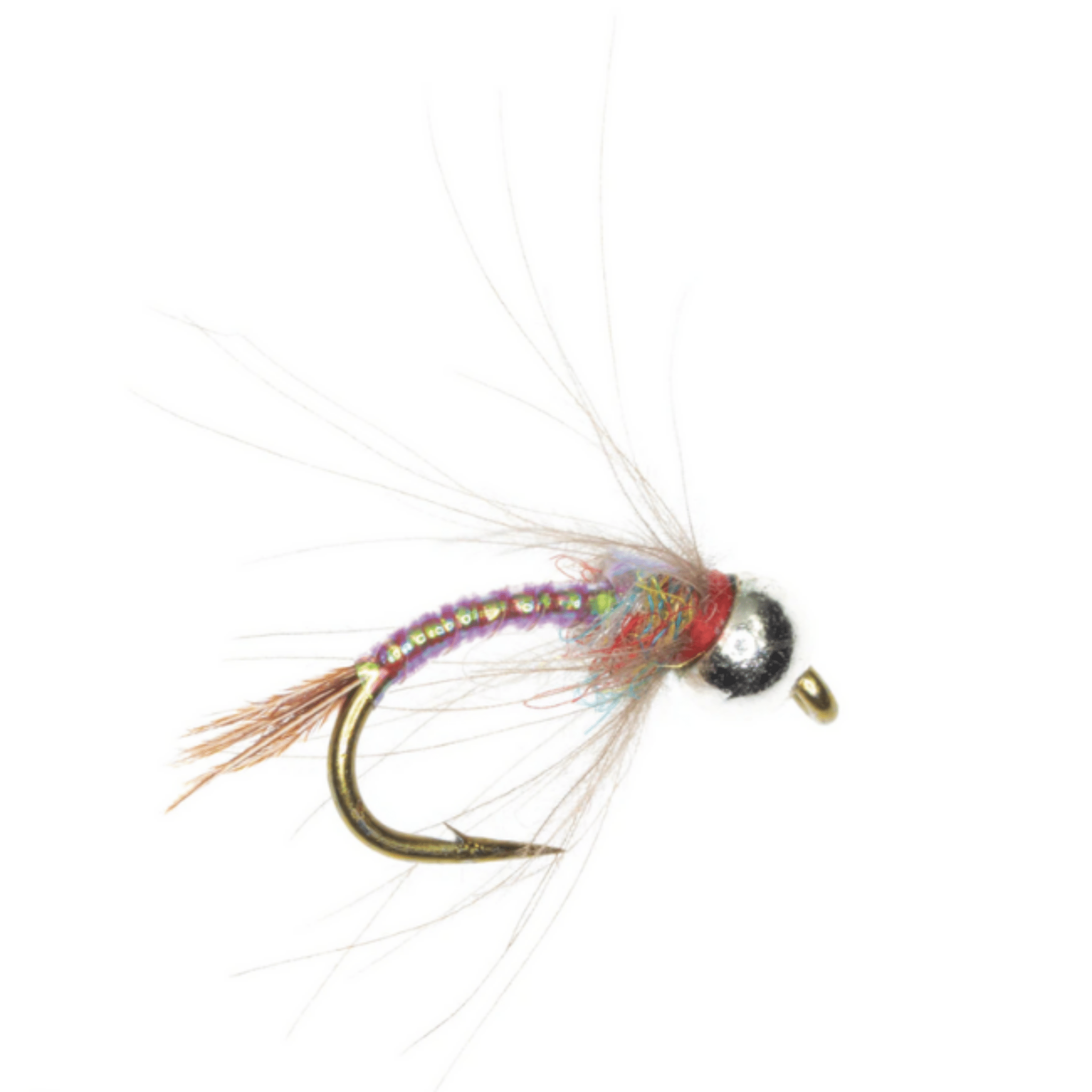 CDC Rainbow Warrior - Tungsten - Nextwavemarket