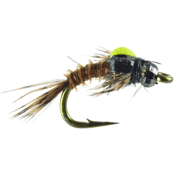 Crack Back PMD - Nextwavemarket