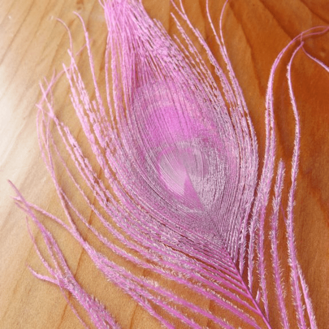 Dyed Peacock Eyes - Nextwavemarket