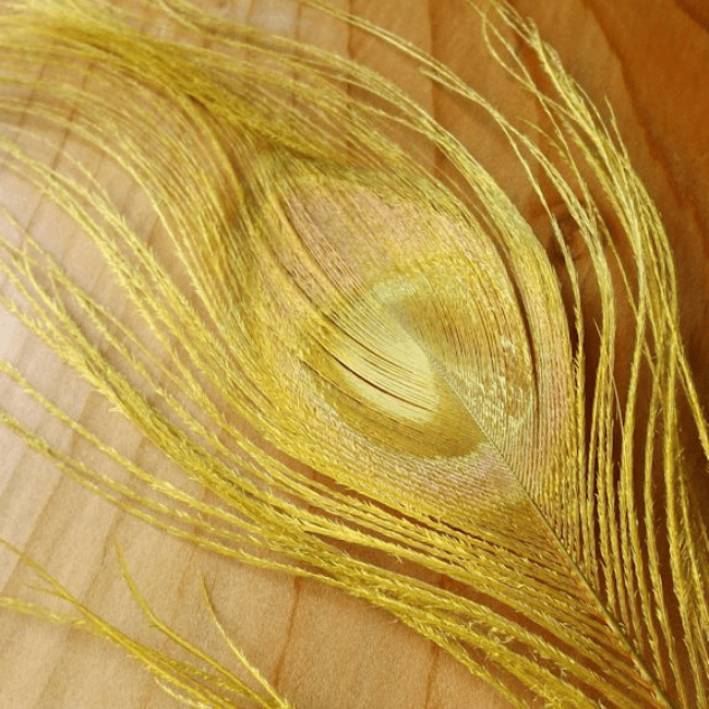 Dyed Peacock Eyes - Nextwavemarket