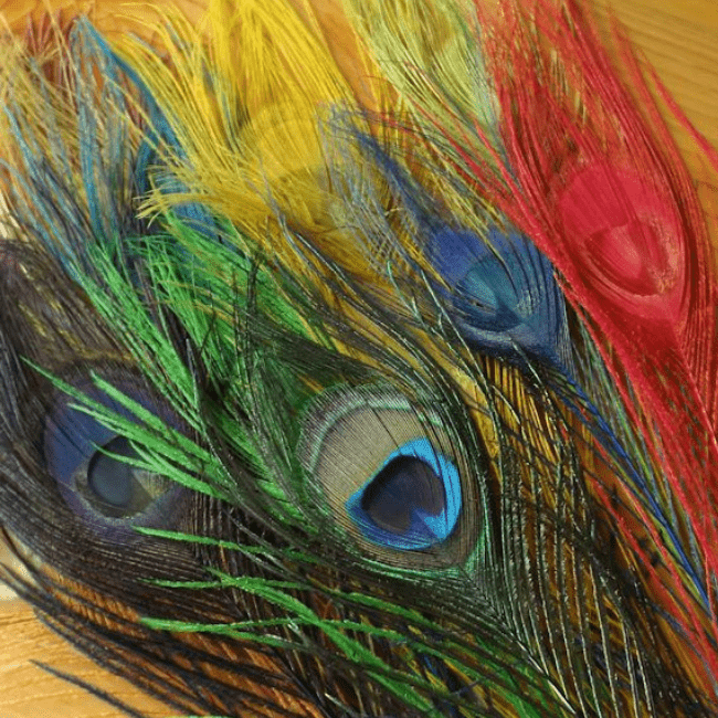 Dyed Peacock Eyes - Nextwavemarket