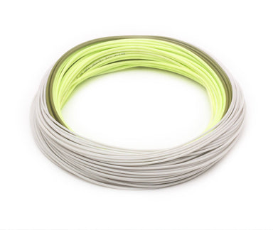 Elite Rio Perception - Nextwavemarket