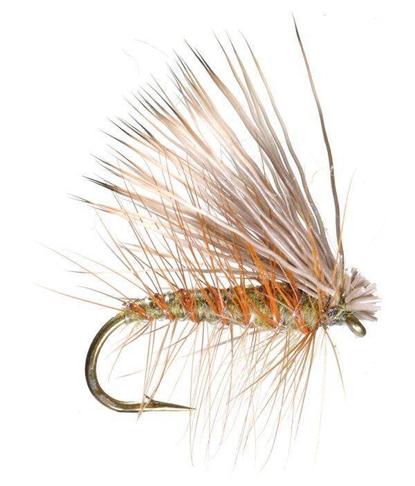 Elk Hair Caddis - Nextwavemarket