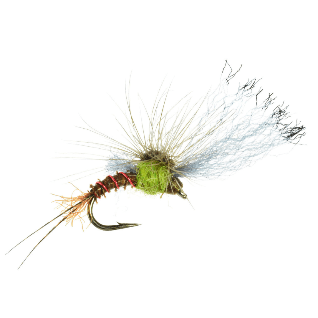 Film Critic - Nextwavemarket