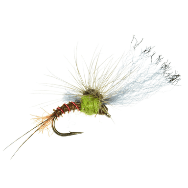 Film Critic - Nextwavemarket