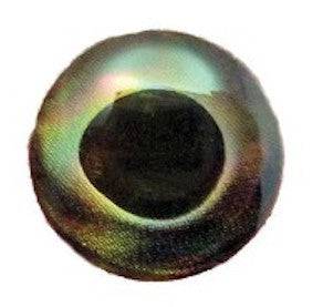 Fish Skull Living Eyes - Nextwavemarket