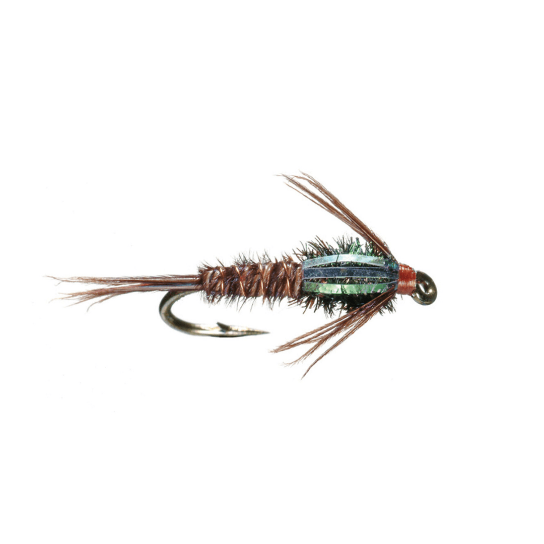 Flashback Pheasant Tail - Nextwavemarket