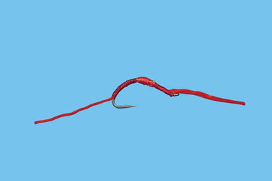 Flossy Worm - Nextwavemarket