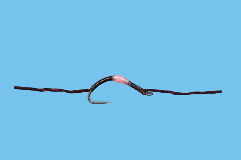 Flossy Worm - Nextwavemarket