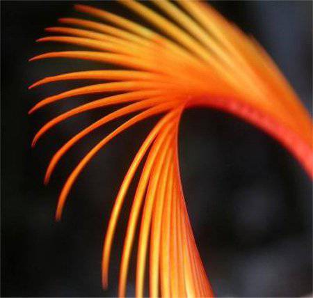 Fly Box Uk Hot Biots - Nextwavemarket