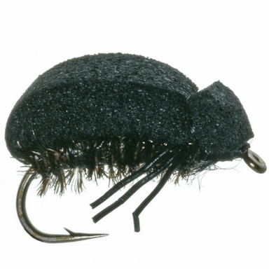 Foam Beetle - Nextwavemarket