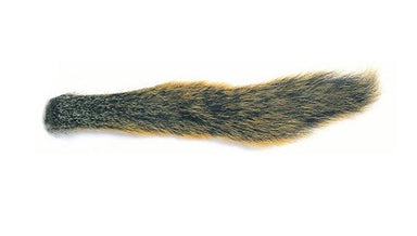Fox Squirrel Tails - Nextwavemarket