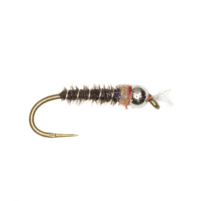 Frenchie Chironomid - Nextwavemarket