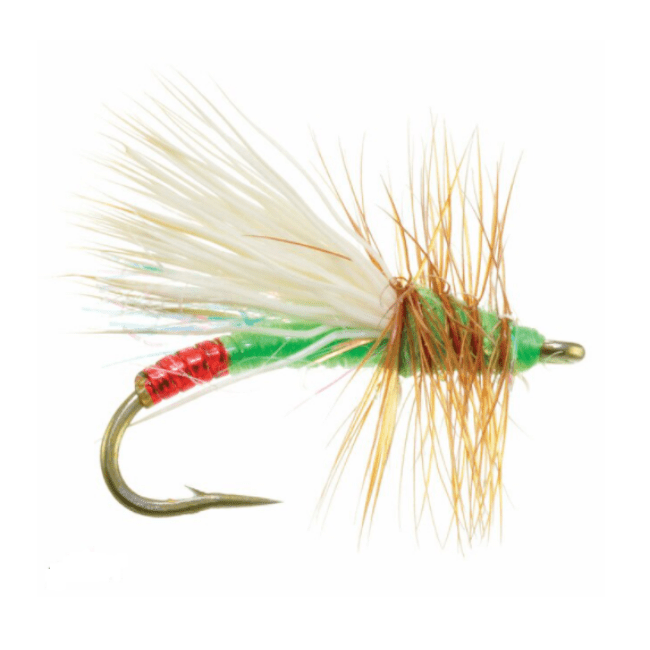 Garcia's Mini Hot - Nextwavemarket