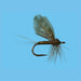 Hackle Dun Baetis - Nextwavemarket