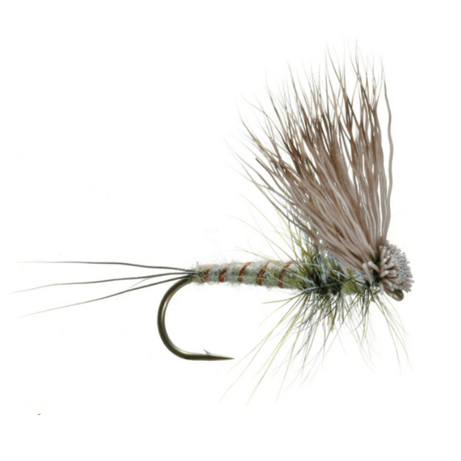 Hairwing Dun - Green Drake - Nextwavemarket