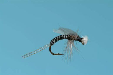 Hatching Midge Emerger - Nextwavemarket