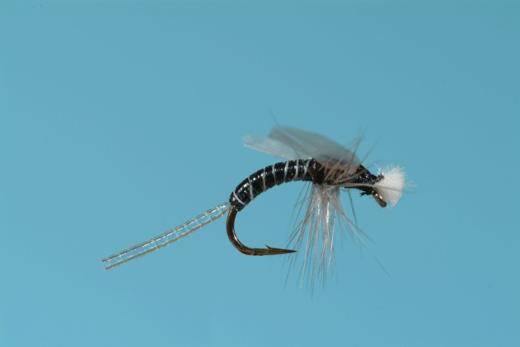 Hatching Midge Emerger - Nextwavemarket