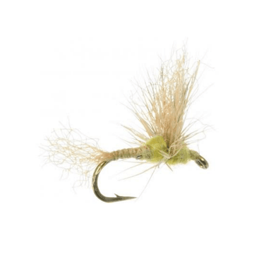 Improved Sparkle Dun Pmd - Nextwavemarket