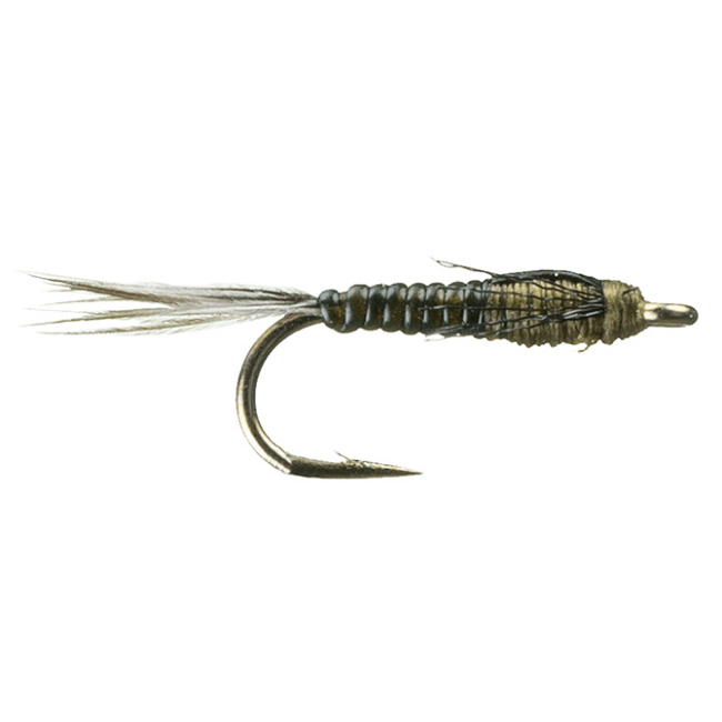 Juan's Jedi Master - Nextwavemarket