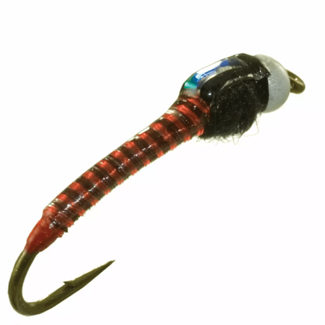 Jumbo Juju Chironomid - Nextwavemarket