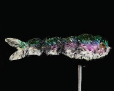 Little Swimmer - Nextwavemarket