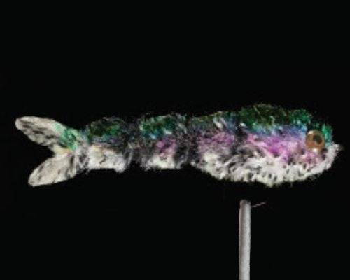 Little Swimmer - Nextwavemarket