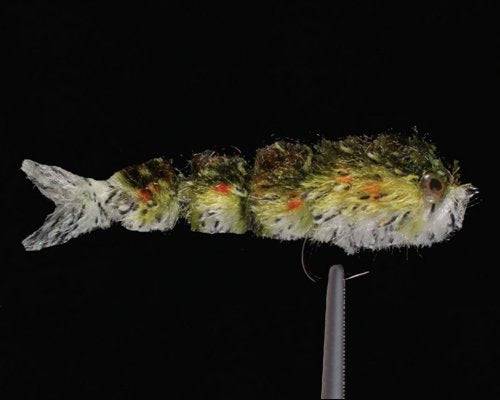 Little Swimmer - Nextwavemarket