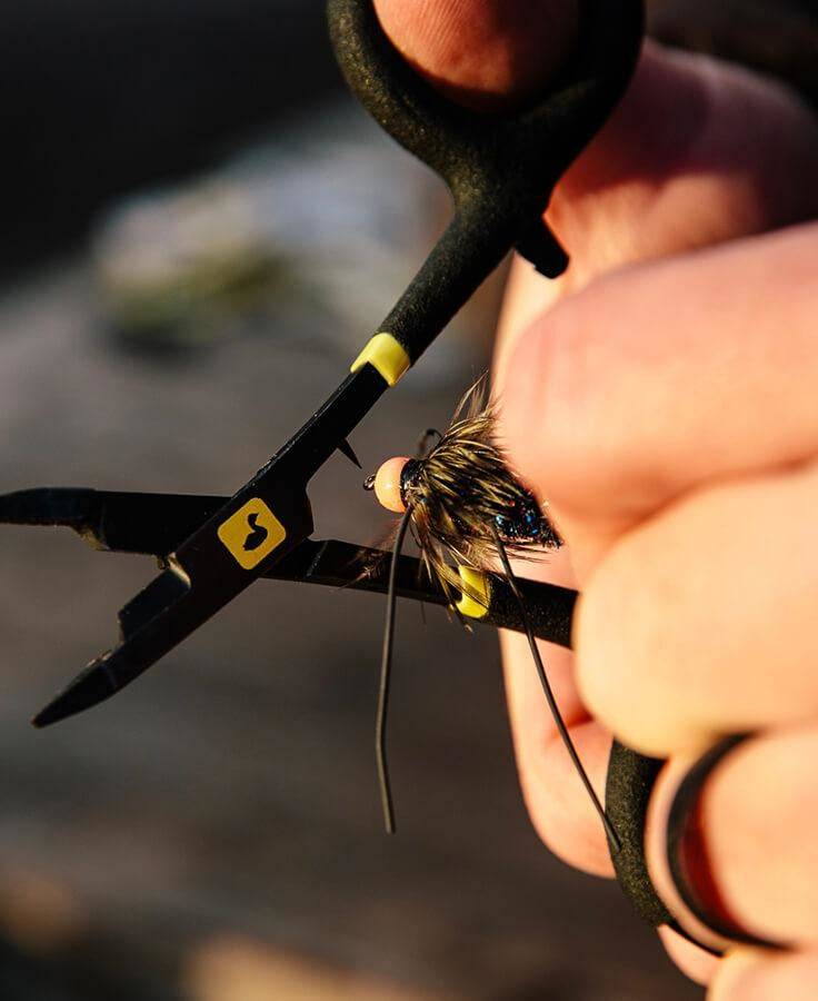 Loon Rogue Scissor Forceps - Nextwavemarket