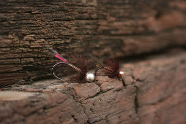 Mayhem Jig - Kelso ) - Nextwavemarket