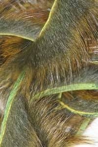 Micro Pine Squirrel Zonkers - Nextwavemarket